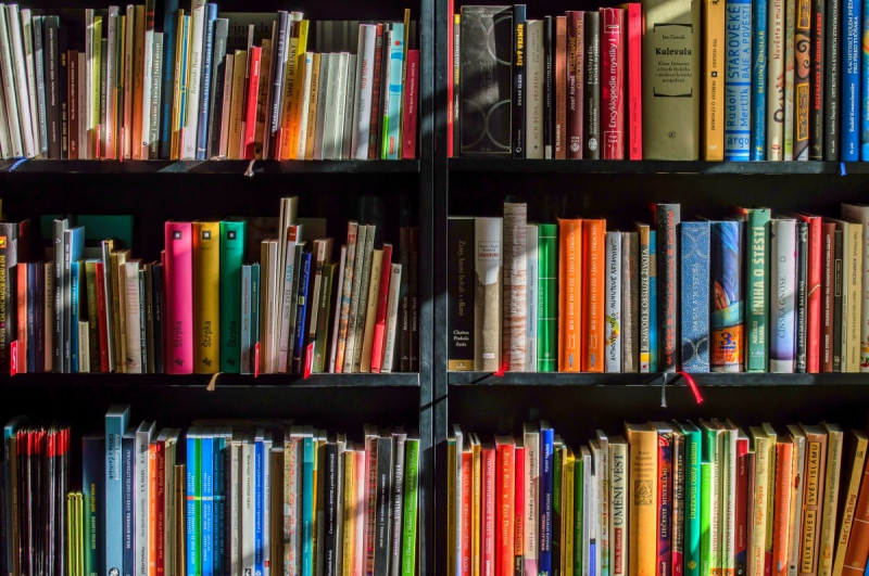 vente-FIGANIERES-min_books_bookstore_book_reading_shop_writer_sale_books_read-822866